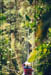 Cloudforest canopy bridge
