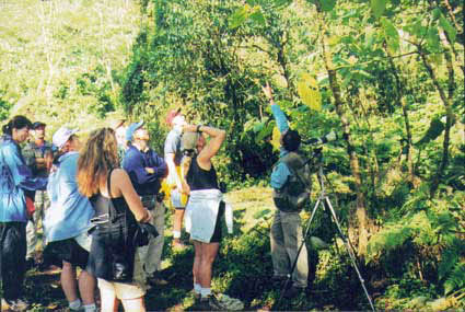 Monteverde Cloudforest