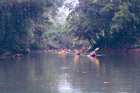 Paddling the Puerto Viejo