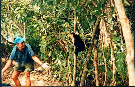 Yes,-I-have-no-bananas!