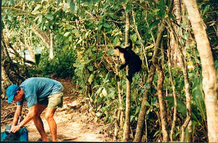 You've-got-a-friend!